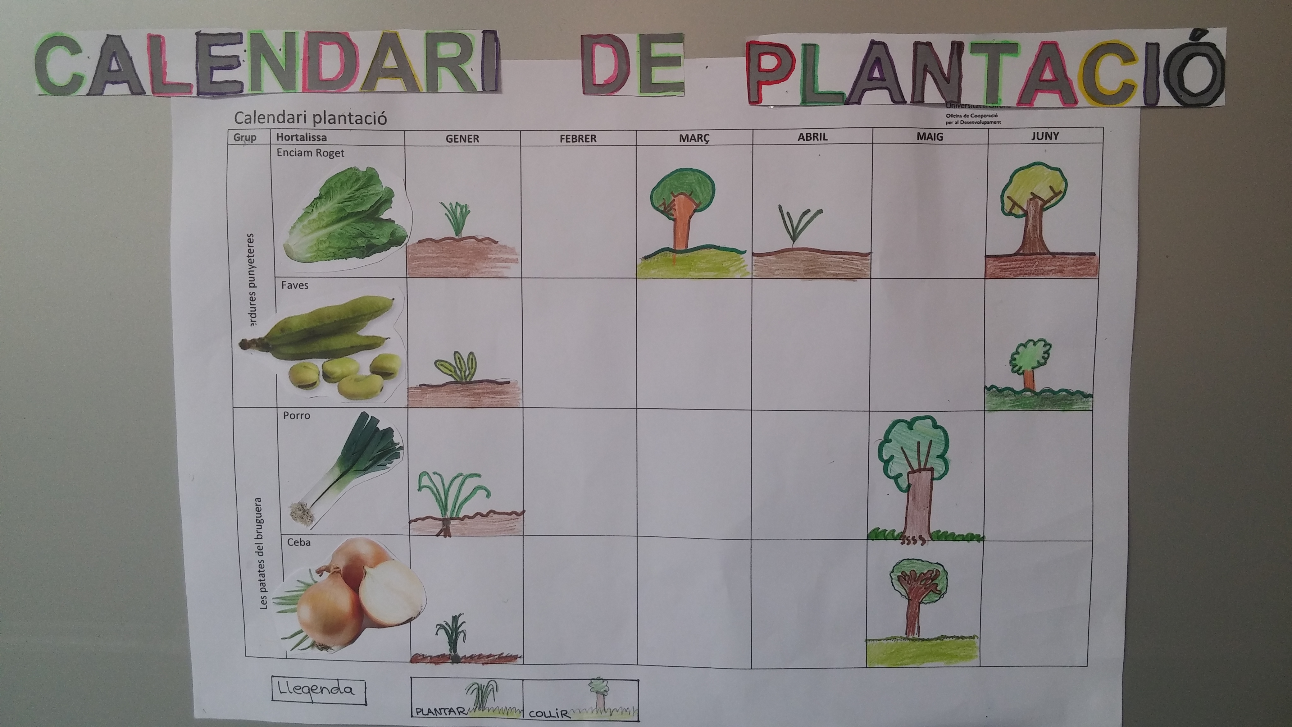 Nosaltres també hem fet el nostre calendari de plantació de les hortalisses que hem plantat a l'hort de l'escola!