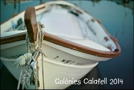 Fitxer adjunt video portada.jpg