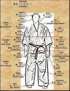 Nom de les diferents parts del cos en llenguatge karateka