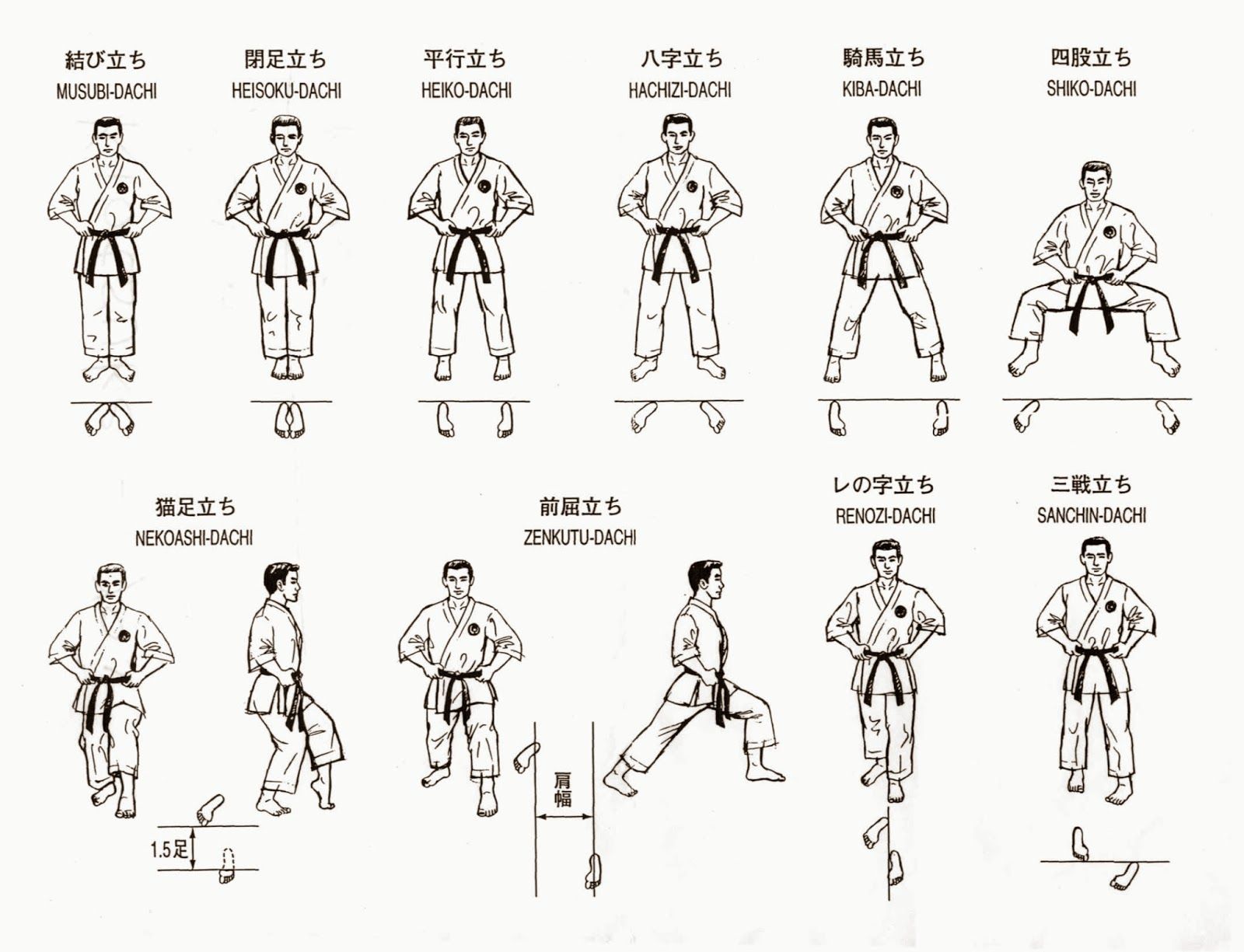 posicions bàsiques kaateka