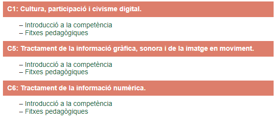 Competències del COMPETIC 1