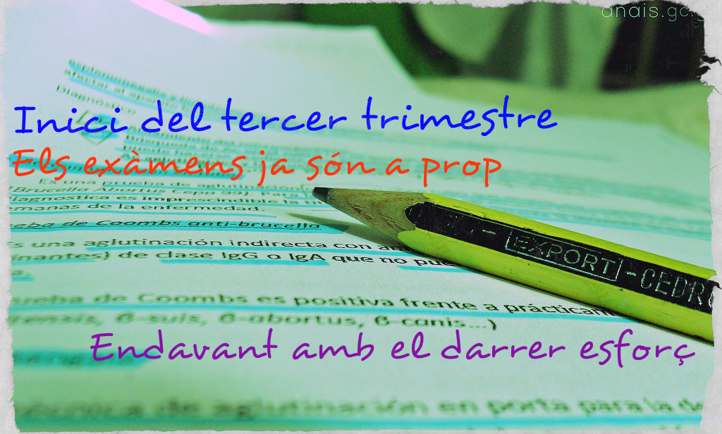 tercer trimestre