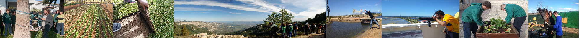 Departament d'Educació