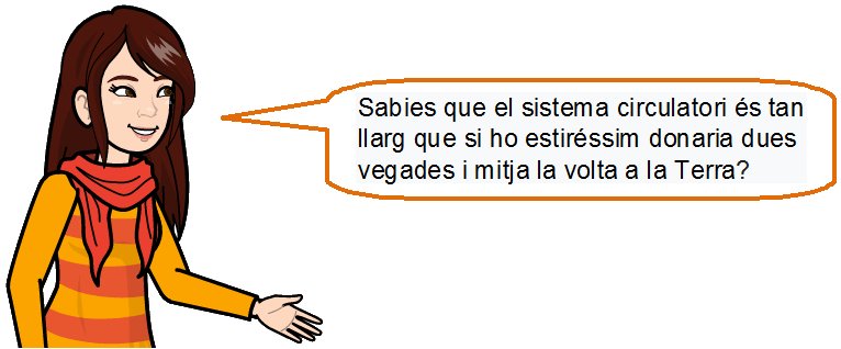 La noia explica que l'aparell circulatori és tan llarg, que estirat donaria dues voltes i mitja a la Terra.