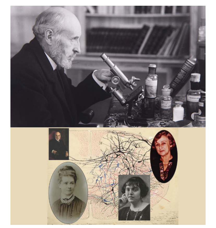 Santiago Ramón i Cajal - Premio Nobel de Medicina