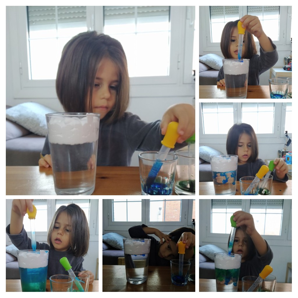 Adjunto 20201122_165924-COLLAGE.jpg