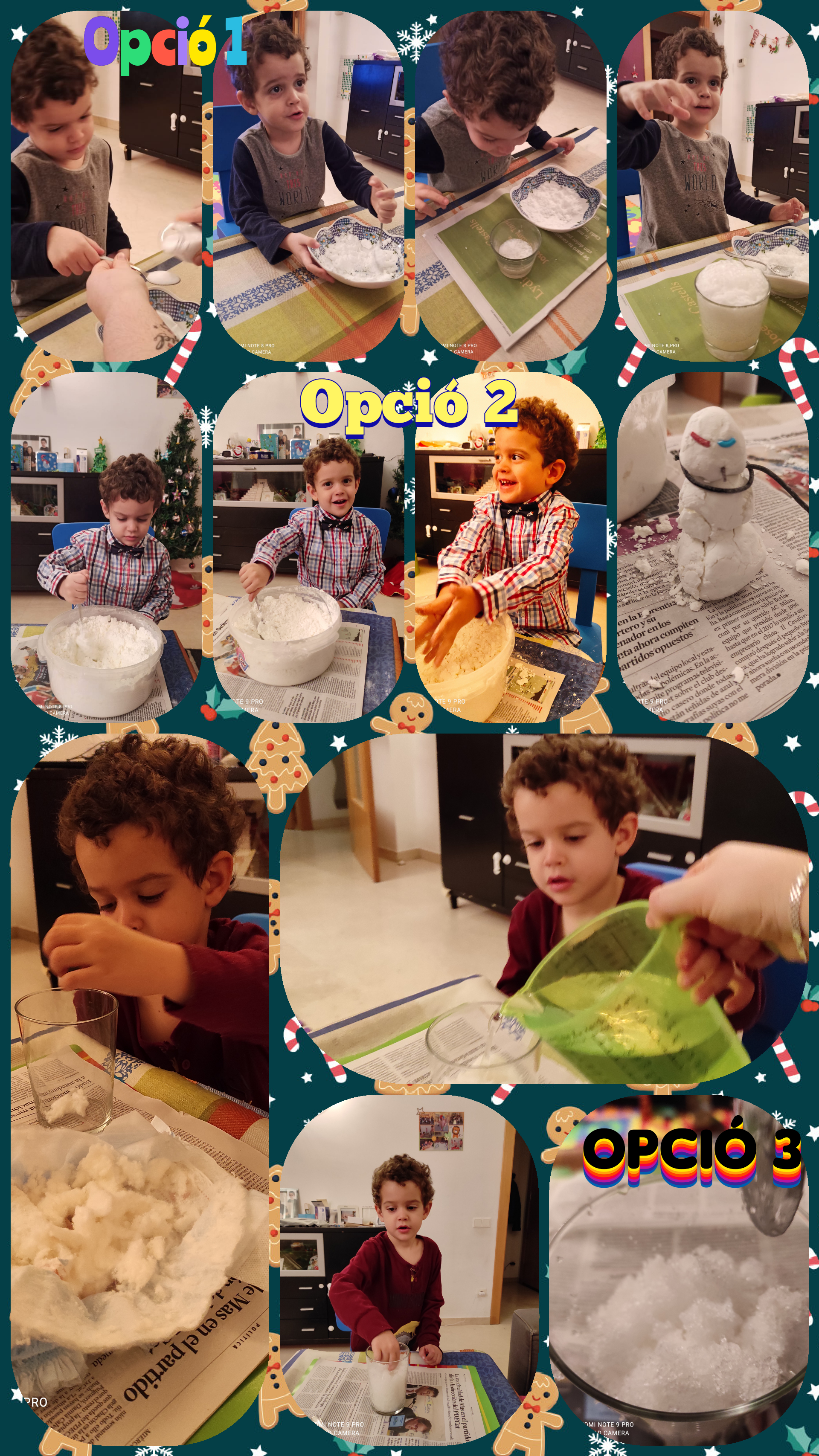 Annexe Polish_20210108_194611697.jpg