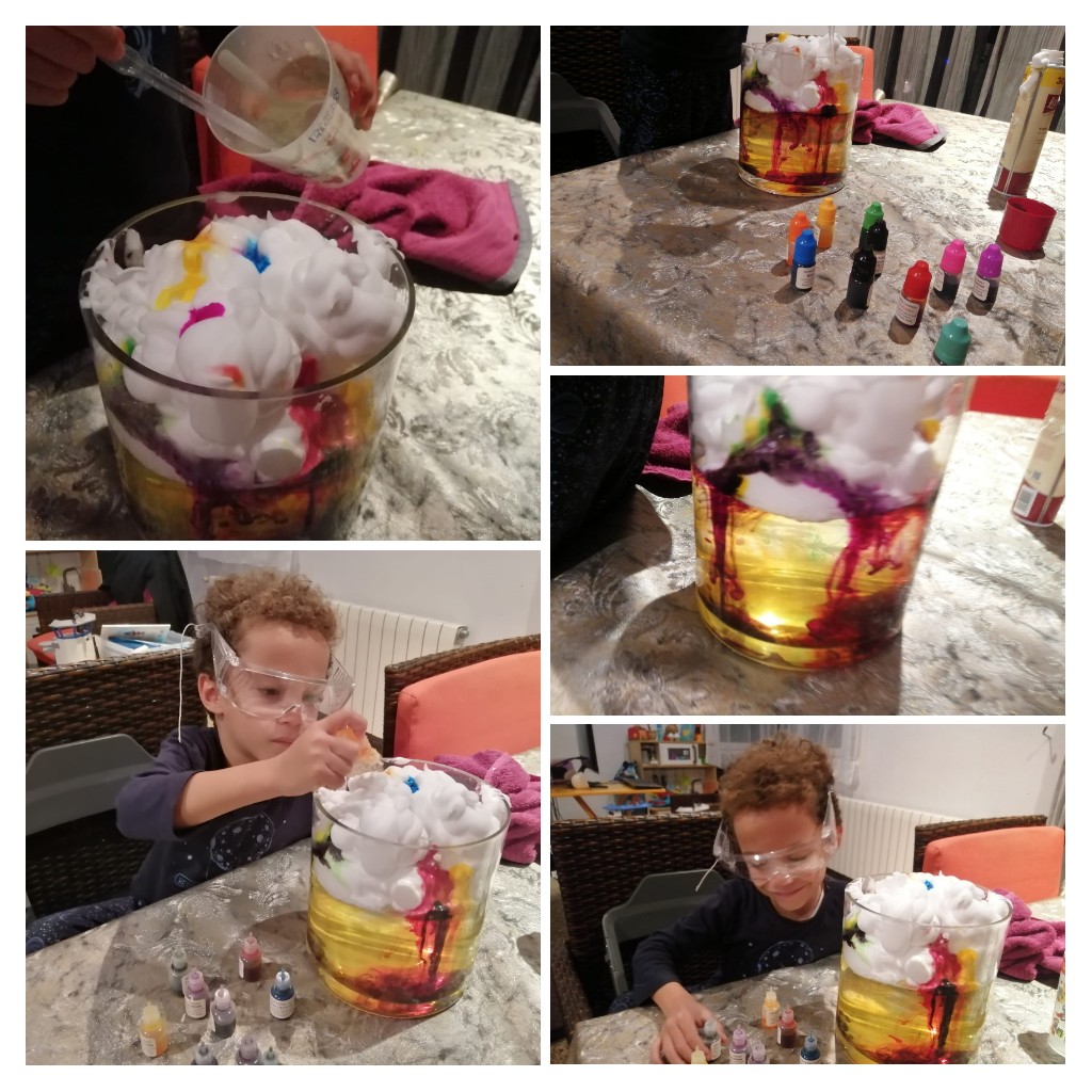 Fitxer adjunt 20201115_133117-COLLAGE.jpg