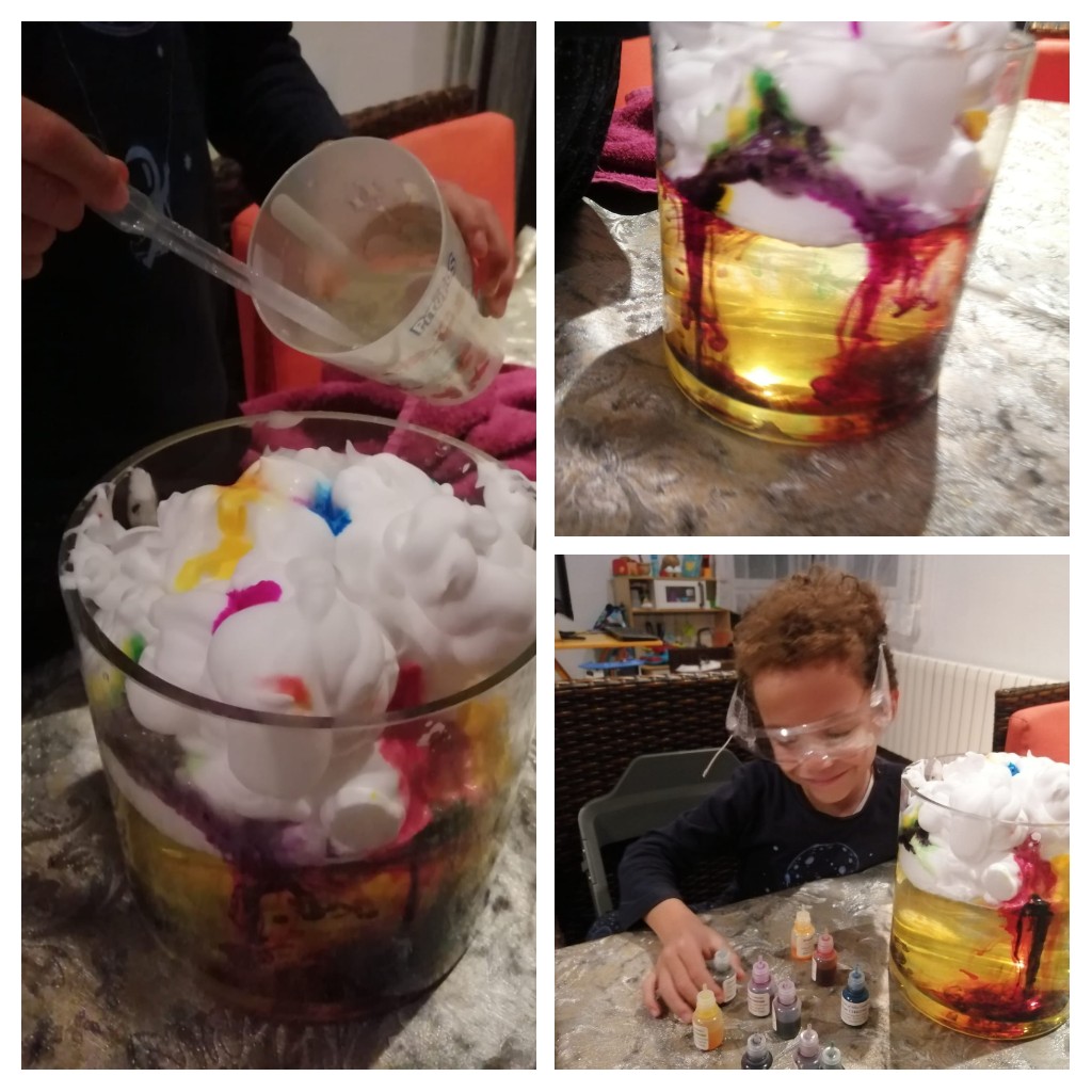 Fitxer adjunt 20201115_133055-COLLAGE.jpg