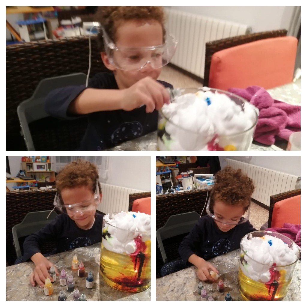 Fitxer adjunt 20201115_133043-COLLAGE.jpg