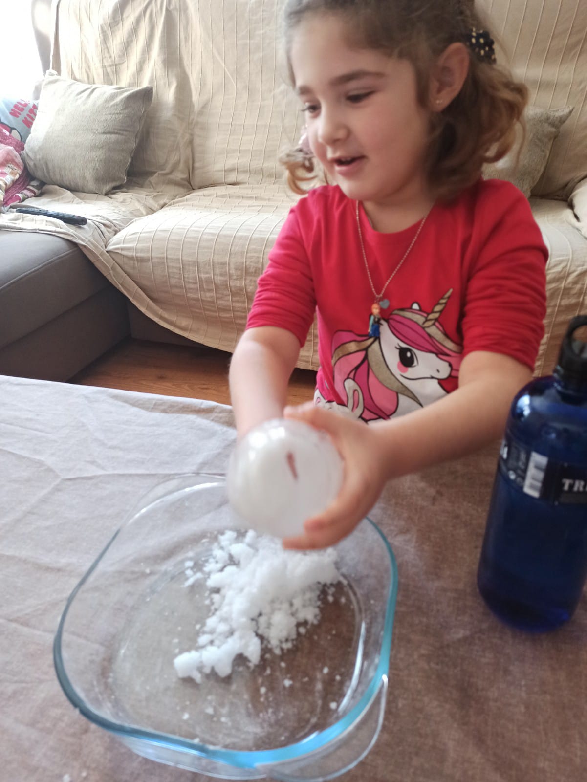 Attachment IMG-20201230-WA0004.jpg