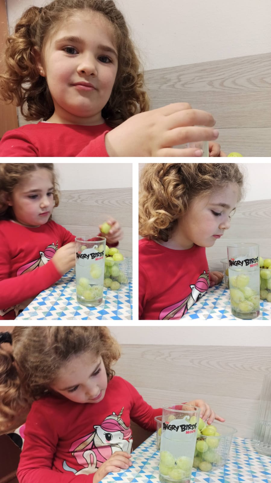 Fitxer adjunt IMG-20210317-WA0000.jpg