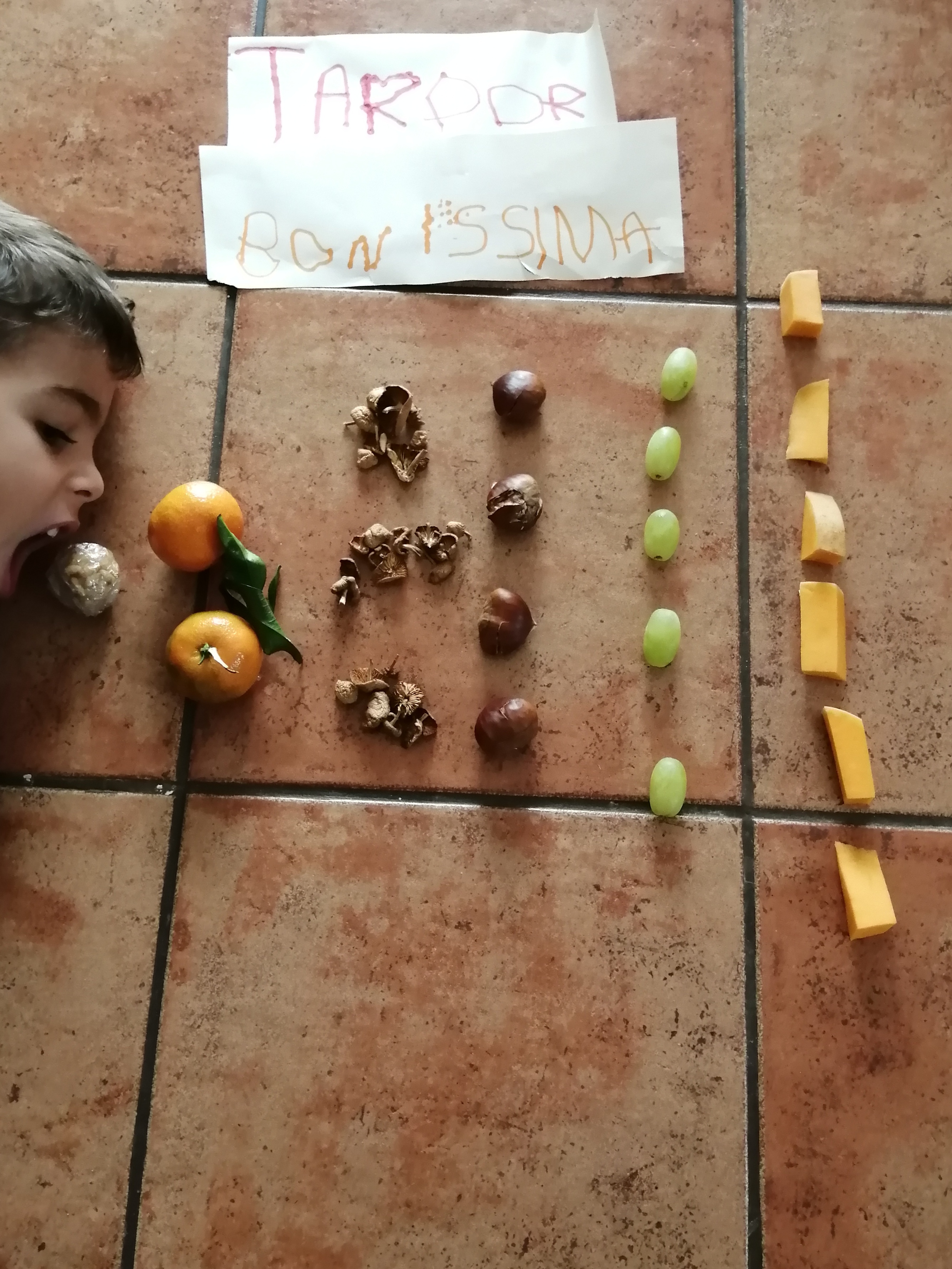 Adjunto Tardor boníssima .jpg