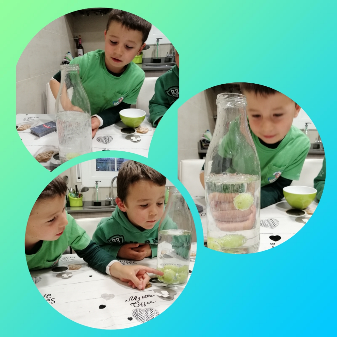 Fitxer adjunt photocollage_202131919846376.jpg