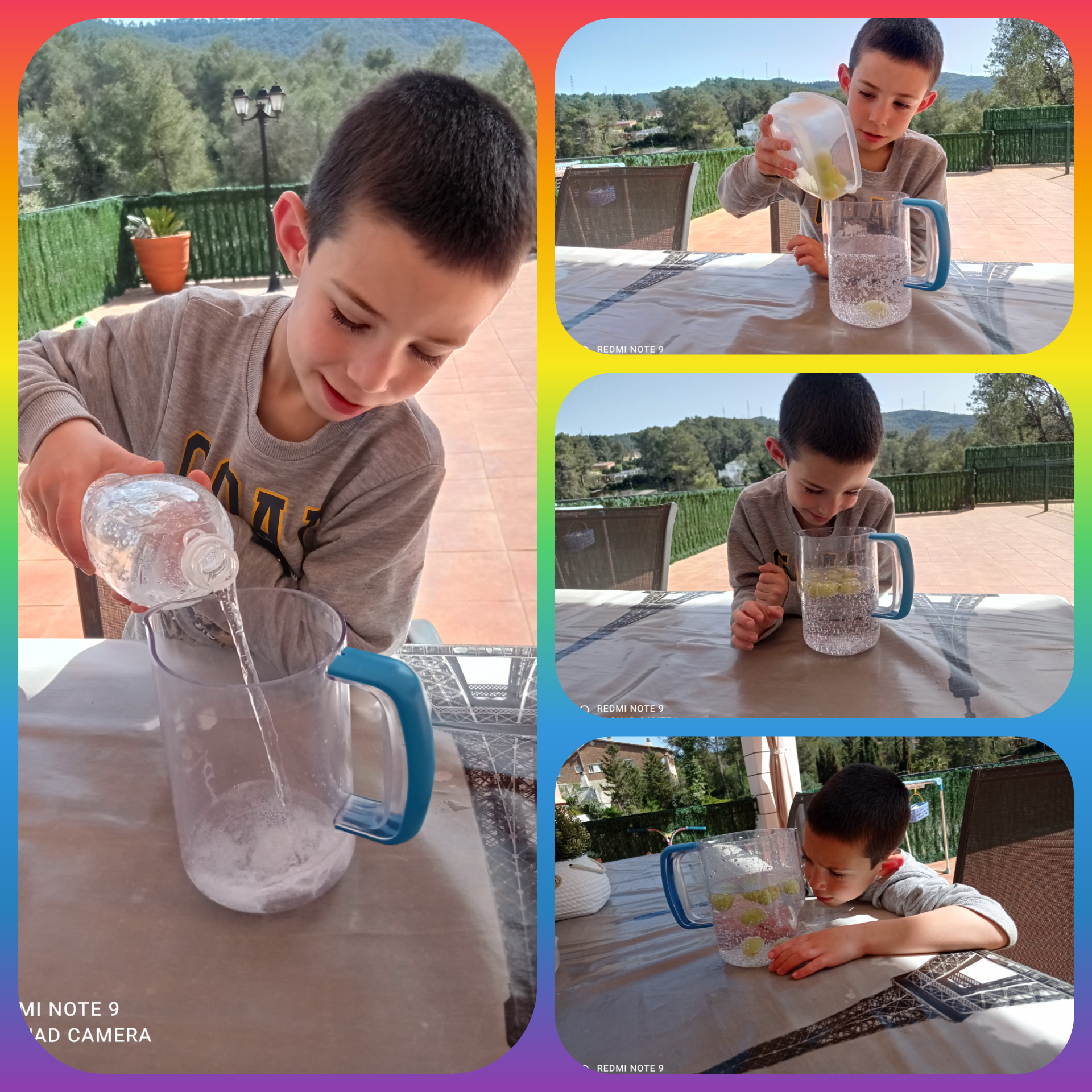 Fitxer adjunt 1617111489123.jpg