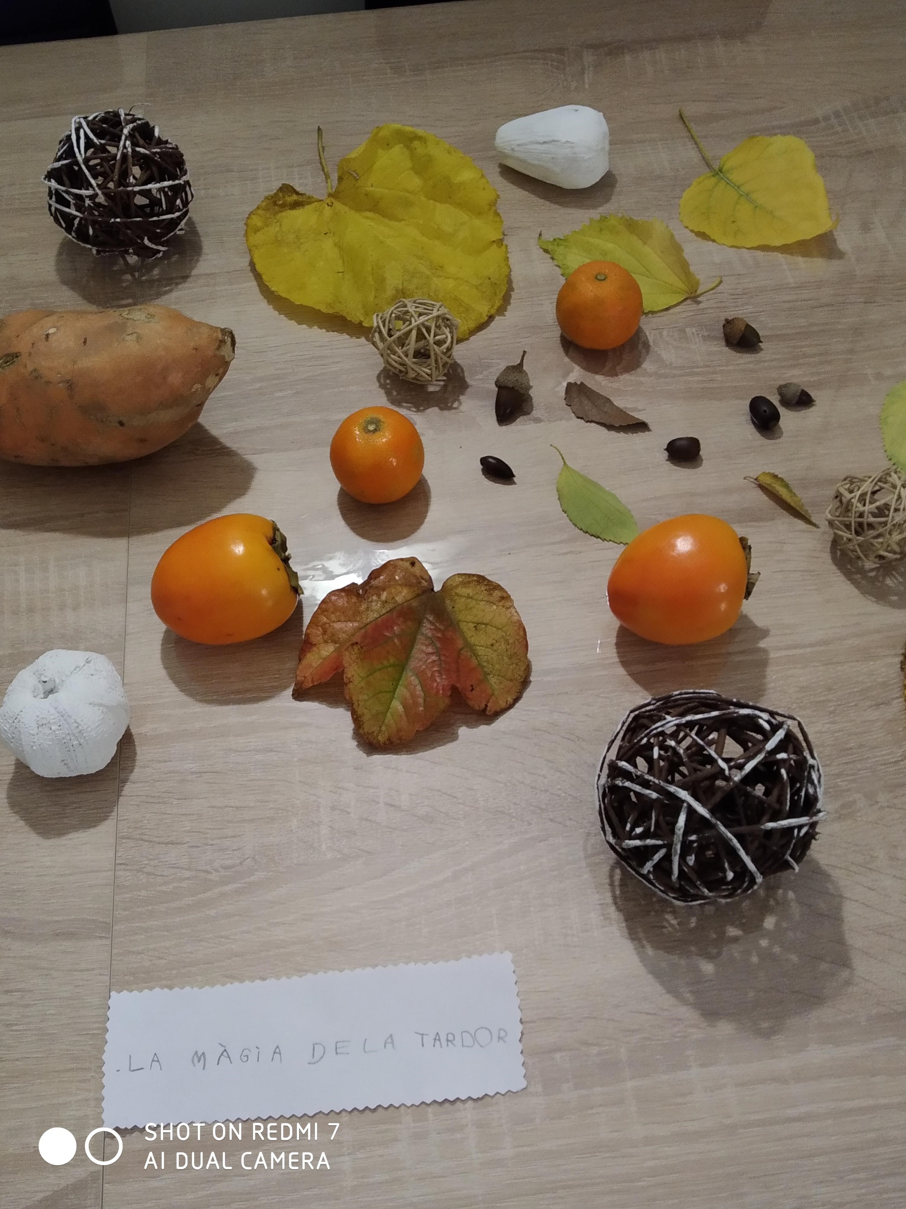 Adjunto FOTOS LEO.jpg