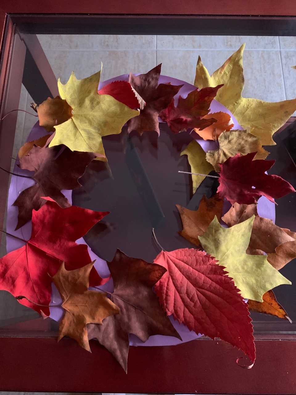 Adjunto FOTO ARIADNA 3.jpg