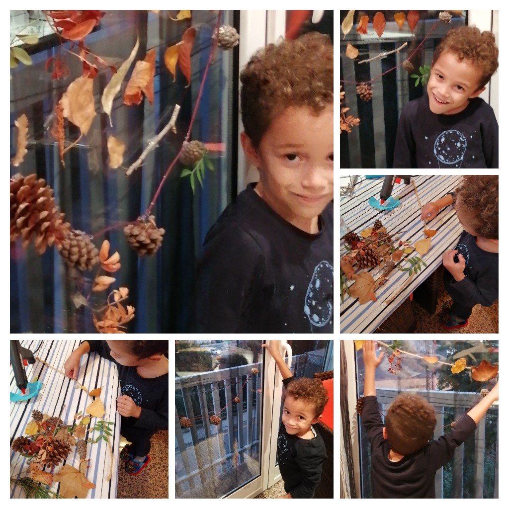 Adjunto 20201029_194638-COLLAGE.jpg