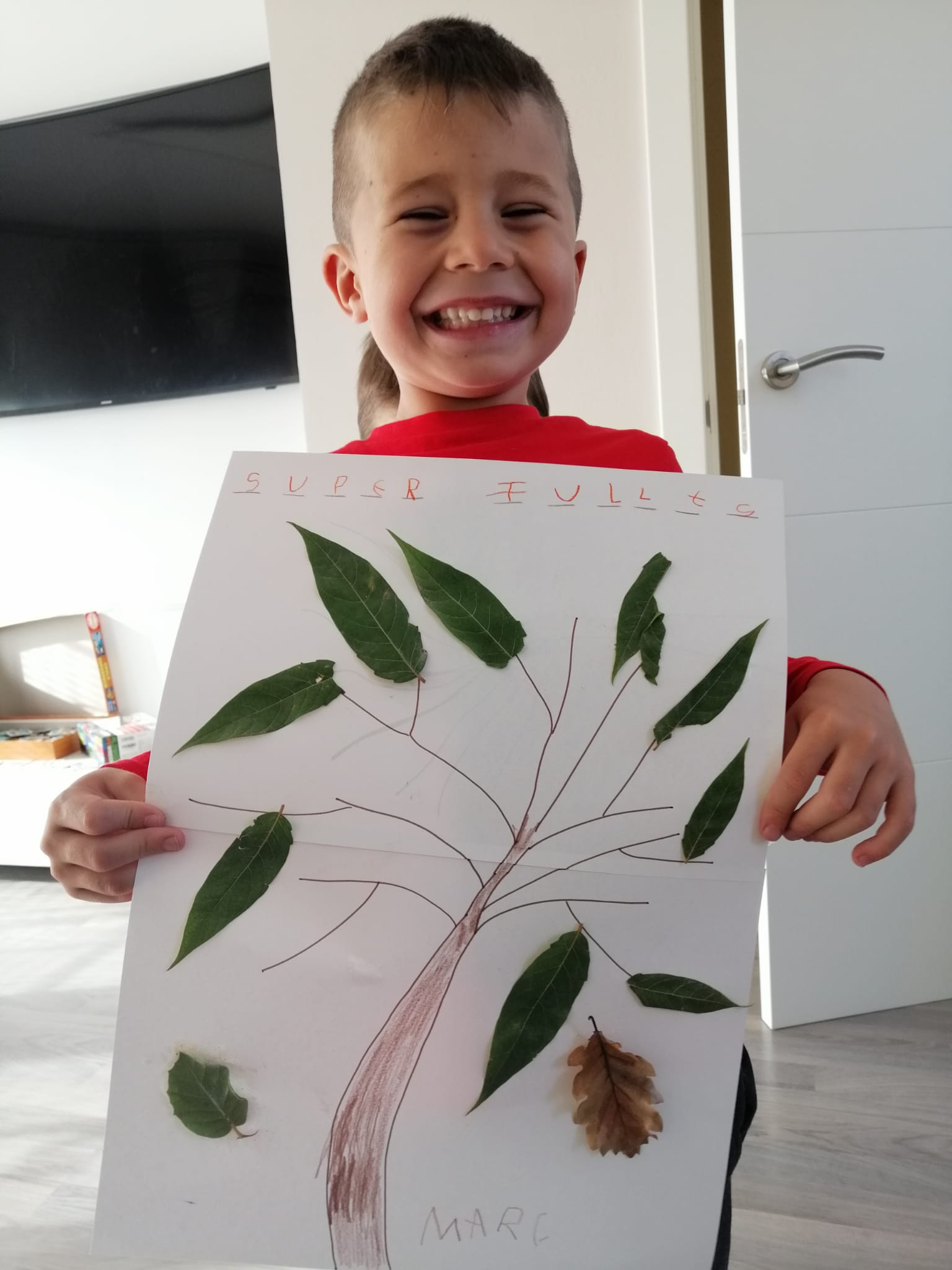 Treball Arbre a la tardor