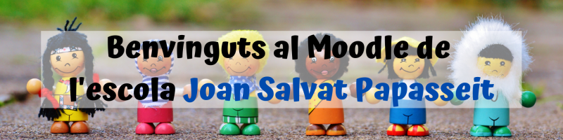 Escola Joan Salvat i Papasseit