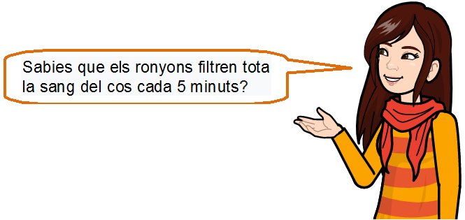La noia comenta que els ronyons filtren tota la sang del cos cada 5 minuts.