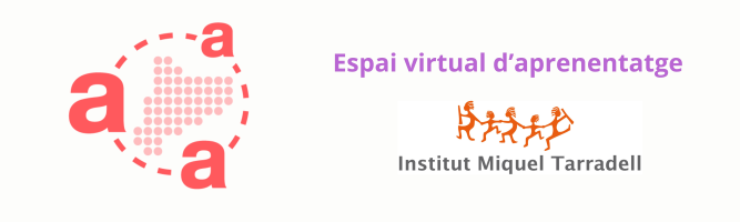 Institut Miquel Tarradell