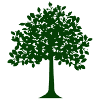 Institut Escola Mestre Andreu