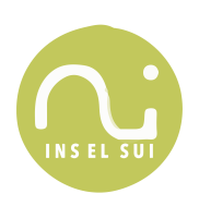 INS El Sui