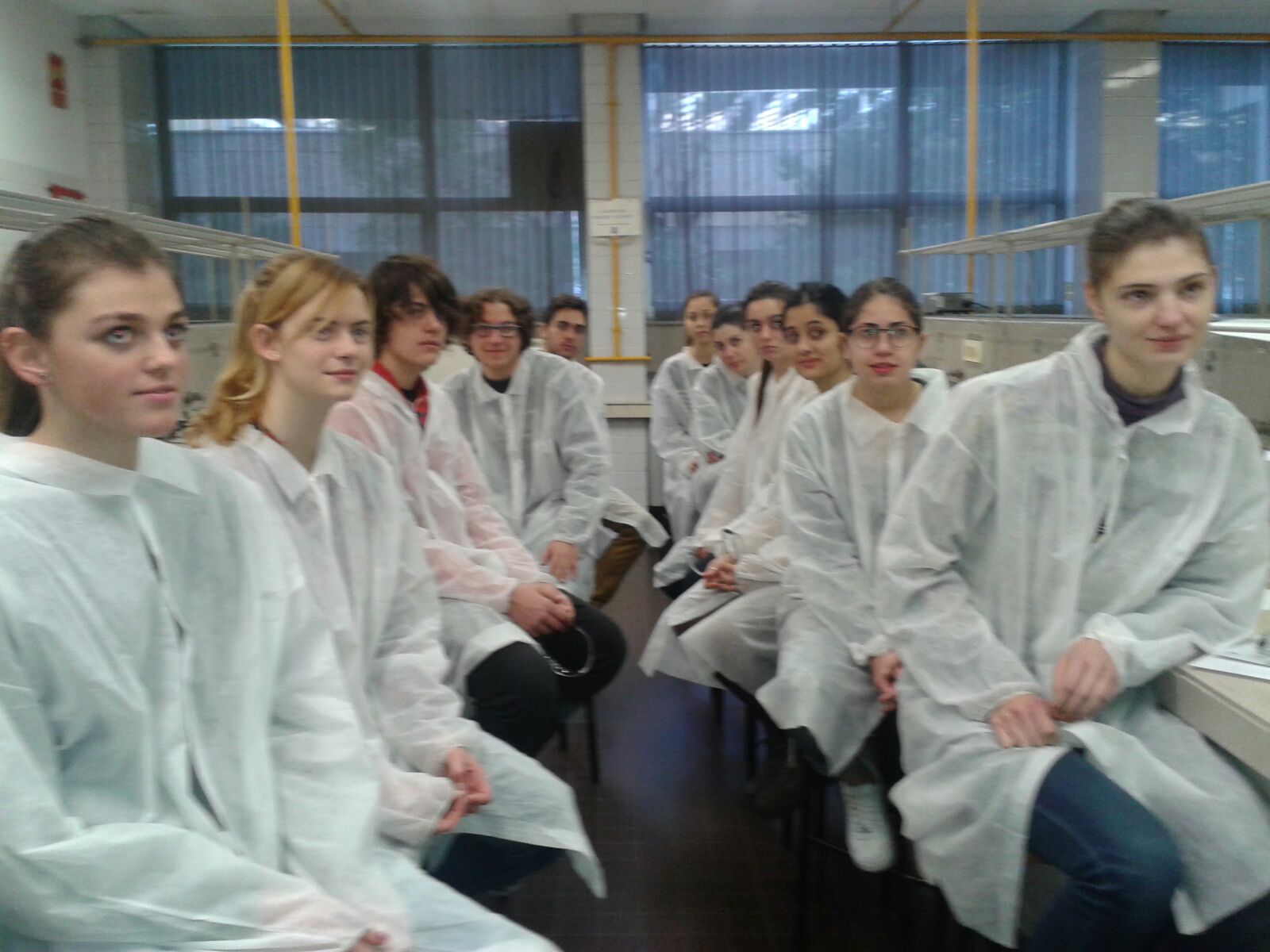 Alumnes treballant al laboratori.