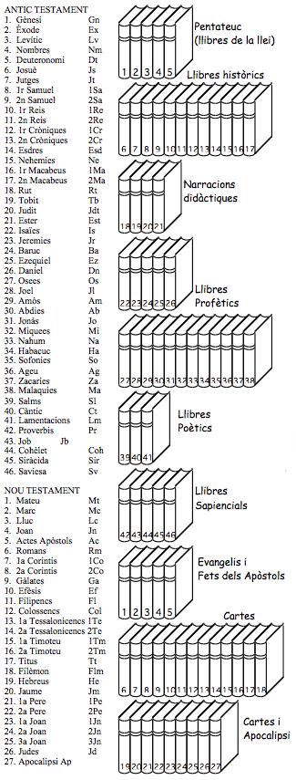 Esquema amb tots els llibres de la Bíblia