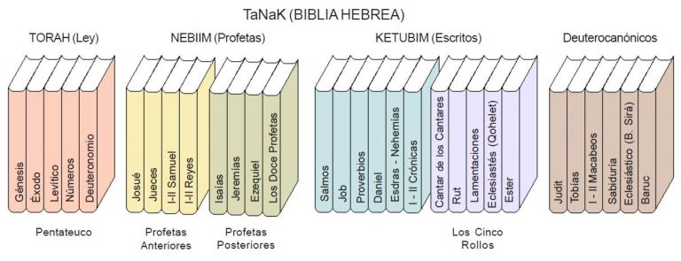 Dibuix amb els llibres de la Bíblia hebrea