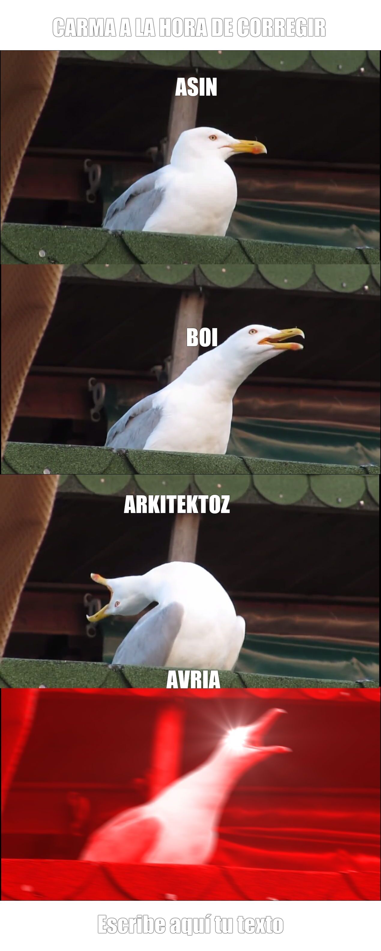 Adjunto MEME 7.jpg