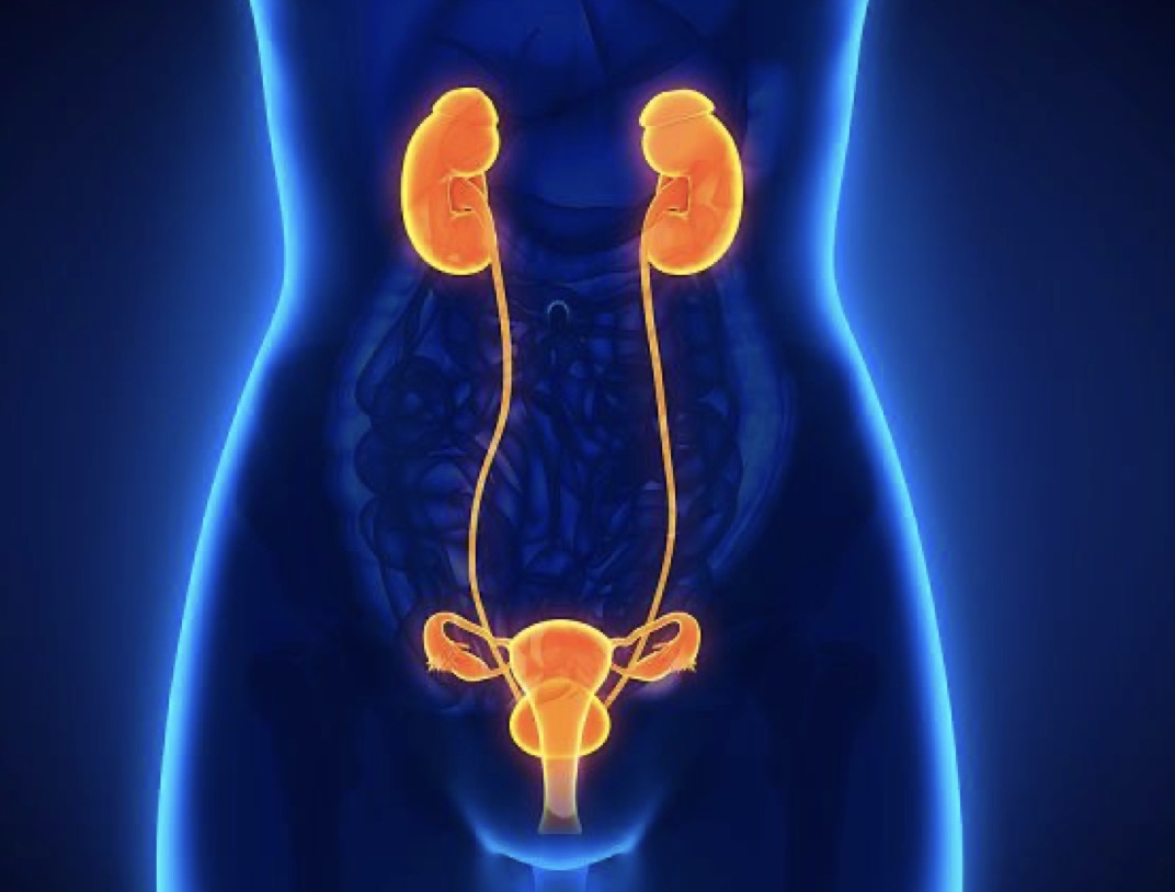 Infecció del tracte urinari