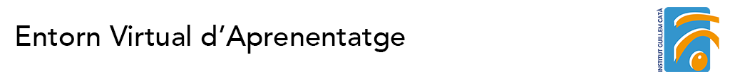 Banner Fons Moodle Institut Guillem Catà