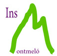 Moodle Institut Montmeló