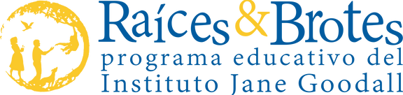 Fitxer adjunt image.png