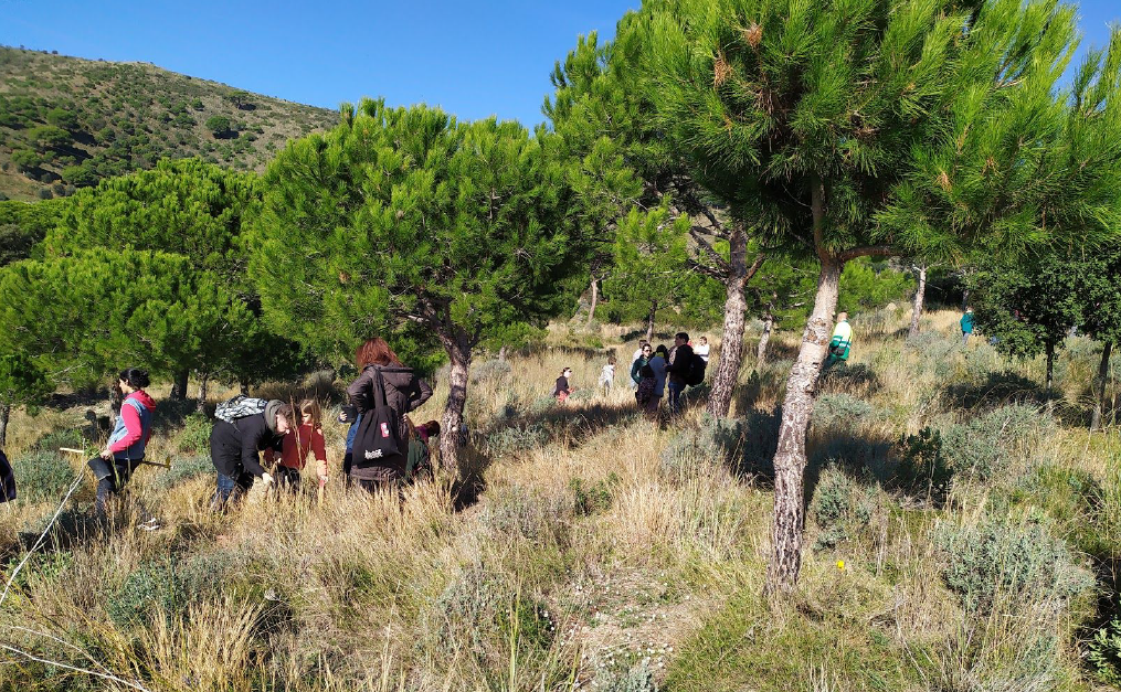 Anhang plantada 2.png