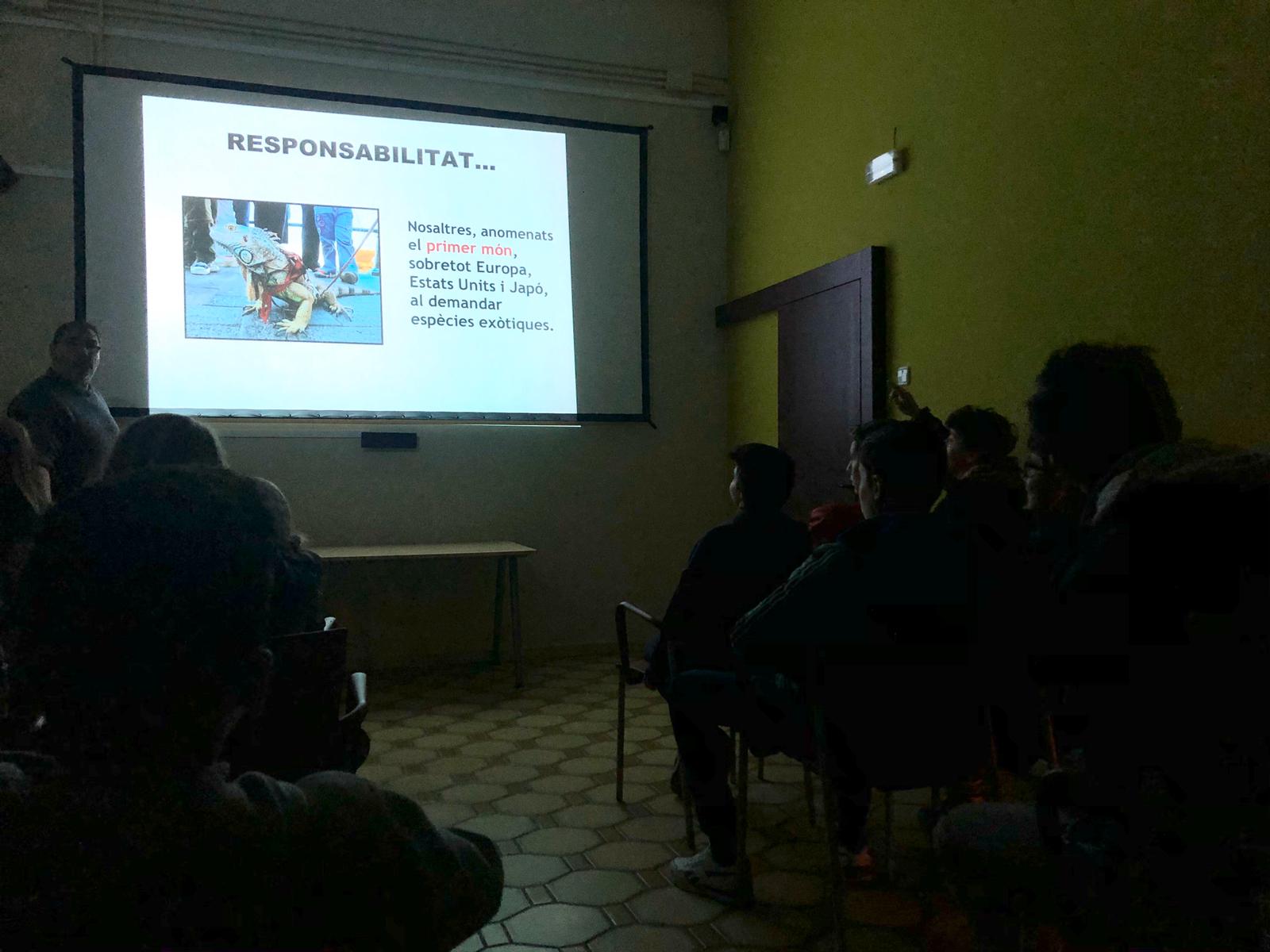 Imatges de la sortida