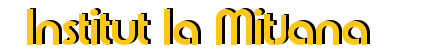 INSTITUT LA MITJANA