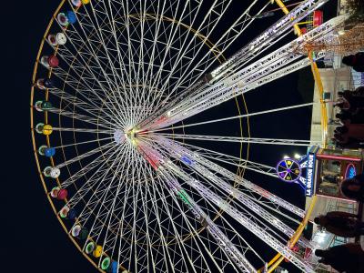 Geometria circular en moviment