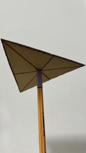 Sostingut pel Baricentre.