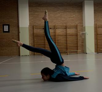 Quan l'equilibri es converteix en geometria