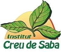 Institut Creu de Saba