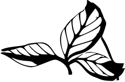 inscreudesaba