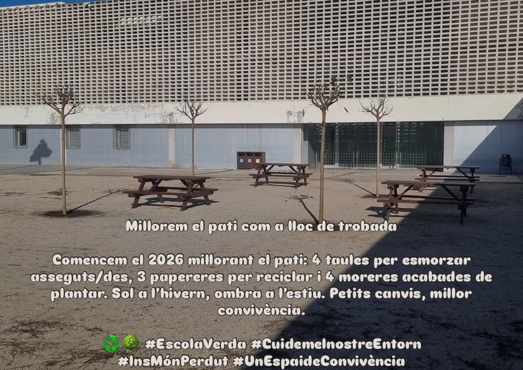 Millorem el pati com a lloc de trobada!!!