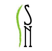 Moodle Institut Serra de Noet