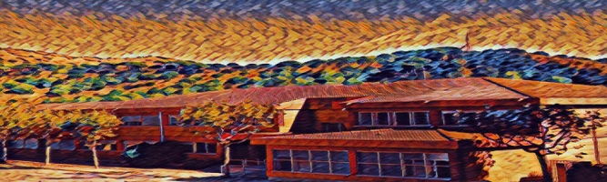 Moodle Institut Tiana