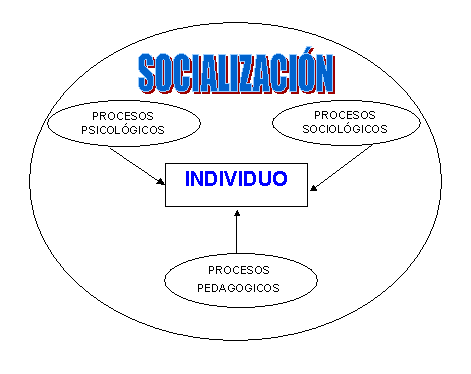 Socialització
