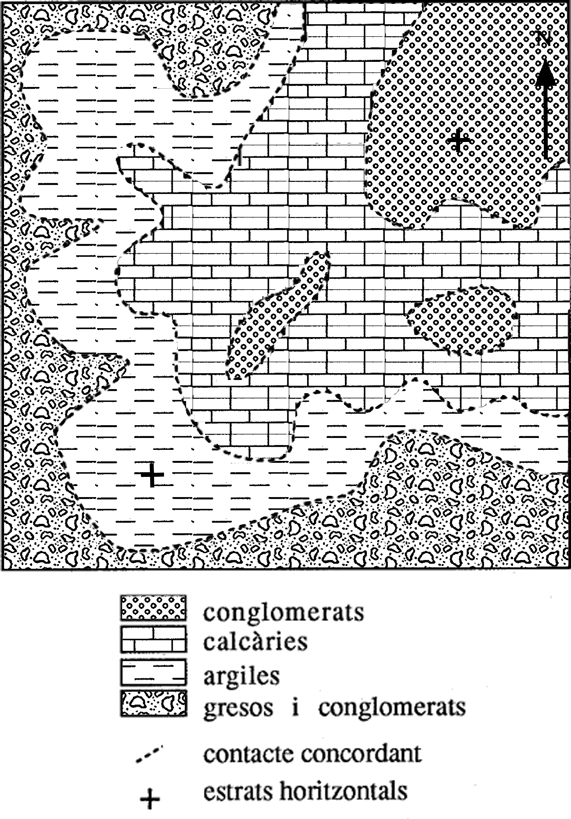 Tasca01 Elaboració d'un mapa geològic