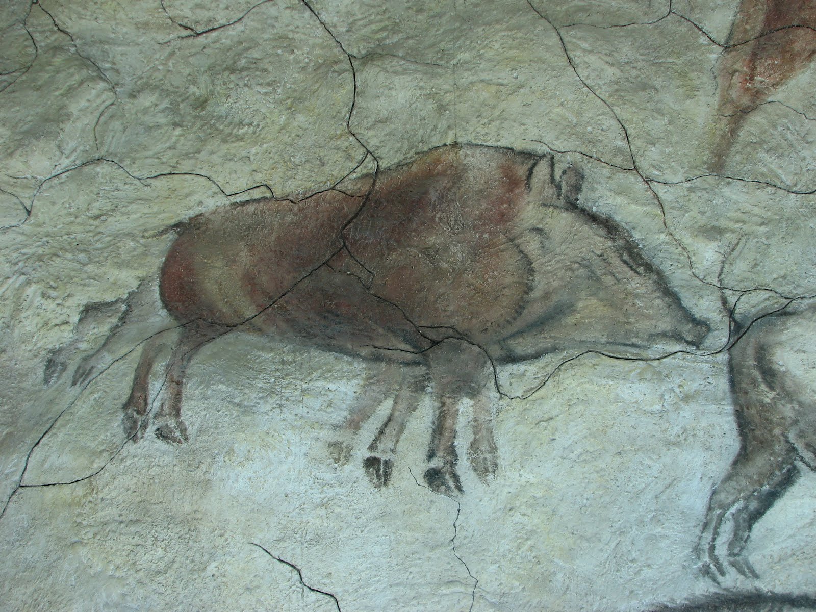 porc senglar amb 8 potes a les pintures rupestres d'altamira